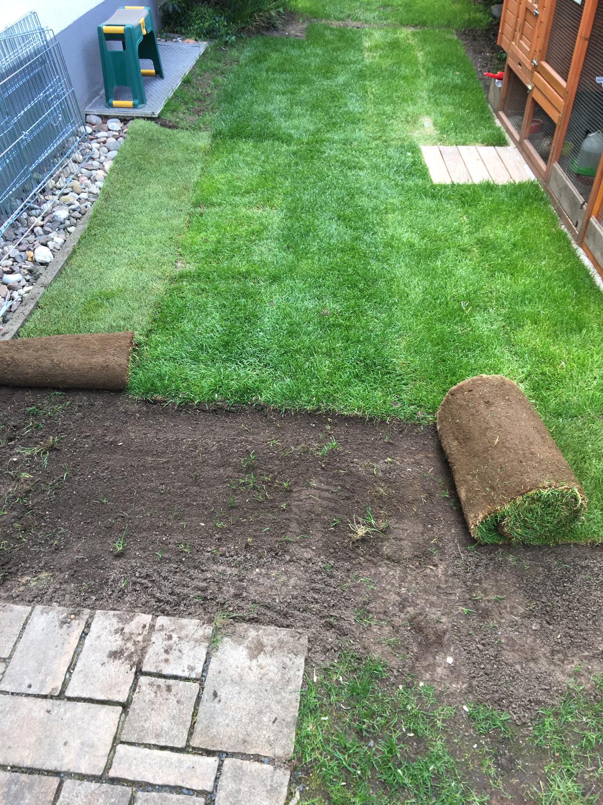 Rollrasen verlegen