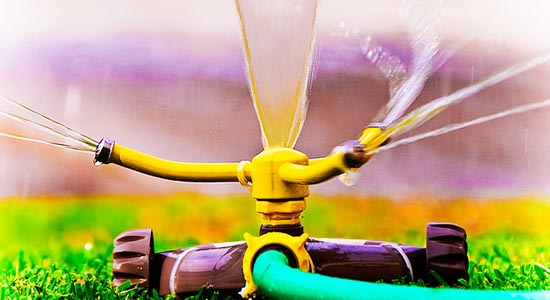 Tipps zur Gartenberegnung