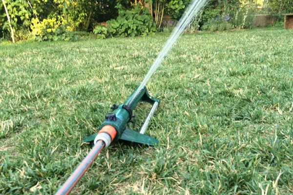 Was beim Wässern Ihres Rasens zu beachten ist: Hier ist ein Rasensprenger im Einsatz.
