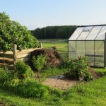 Ländlicher Naturgarten mit Gewächshaus