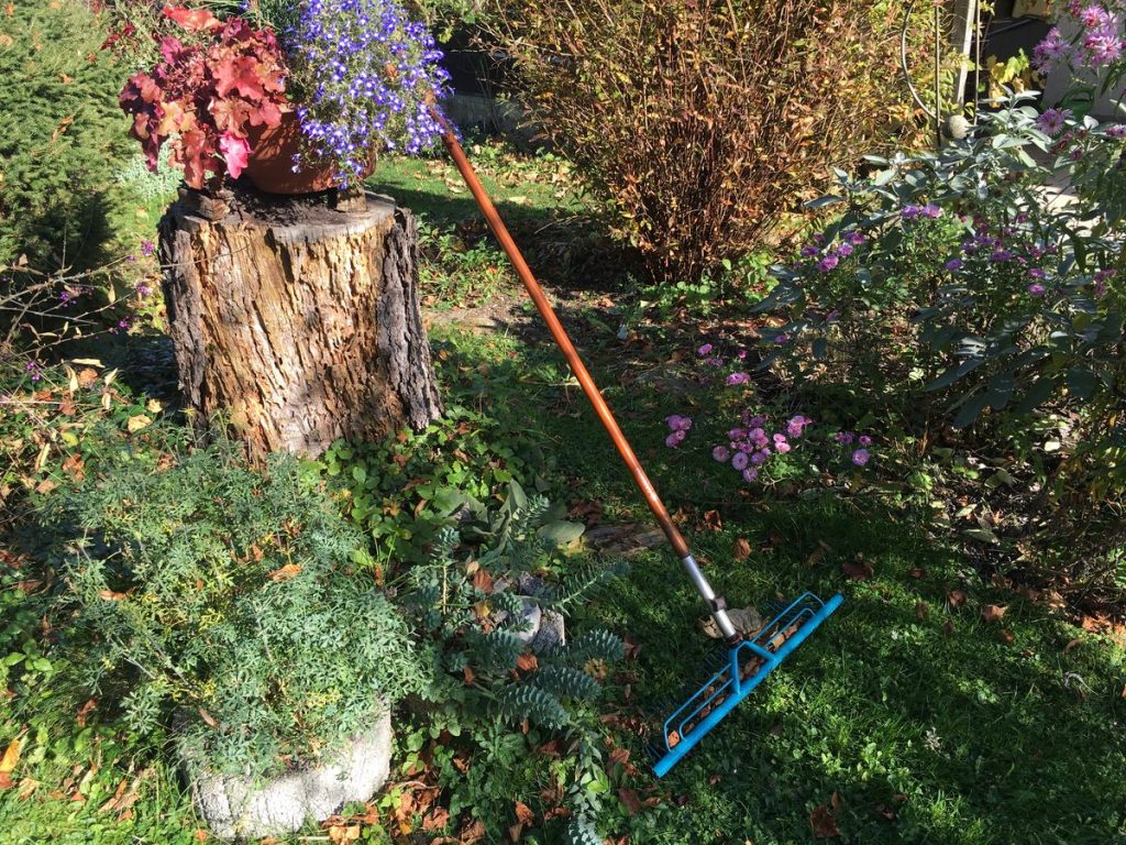 Natürlicher Garten im Oktober.