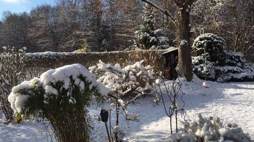 Schneebedeckter Garten im Januar