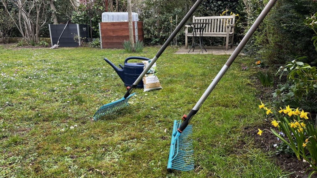 Rasenpflege im Frühjahr mit Gartenrechen, Gießkanne und Rasensamen